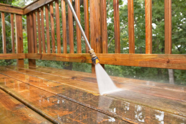 Professional Pressure Washing in Roan Mountain, TN